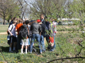Students gather by Boulder Creek for hands-on experiments. Photo by Shelly Sommer, April 2012.