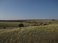 Landscape south of the Shlyakh site (photo by J.F. Hoffecker).