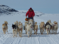 Irina Overeem (http://instaar.colorado.edu/people/irina-overeem/) uses a dogsled to get to a river gauging station in #Greenland #GirlsWithToys