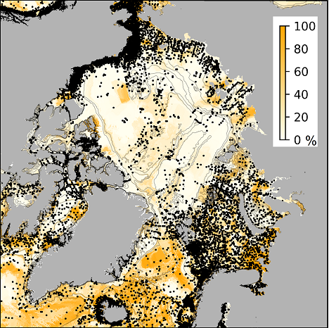 Arctic Seabed sediments