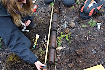 A tundra researcher measures organic layers in a soil core.