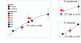 Three science x-y non-linear plots 