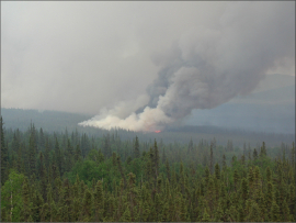 Accelerating boreal wildfires releasing old carbon to the atmosphere ...