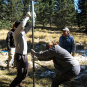 Installing a piezometer to measure groundwater head...