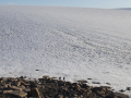 The ice margin, in a big landscape. Photo by Matthew Kennedy of Earth Vision Trust.
