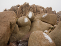 Jumbo Rocks, Joshua Tree National Park, California