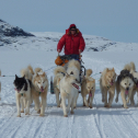 Irina Overeem (http://instaar.colorado.edu/people/irina-overeem/) uses a dogsled to get to a river gauging station in #Greenland #GirlsWithToys