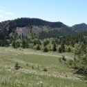 A view of the grassland ecosystem near Boulder, CO where I established my experiment.
