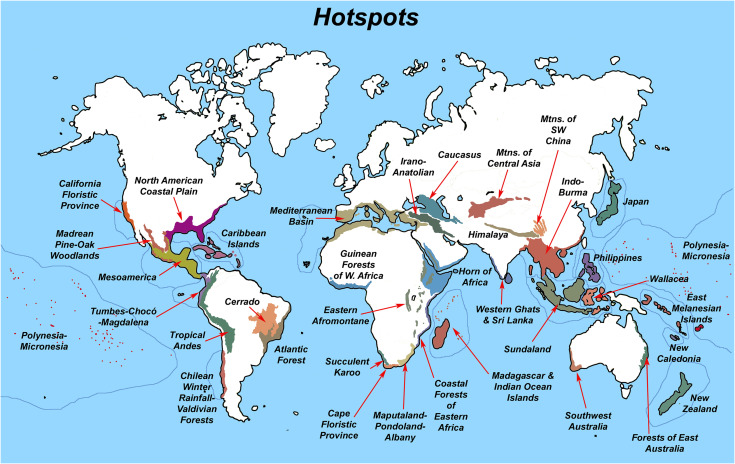 Hotspots