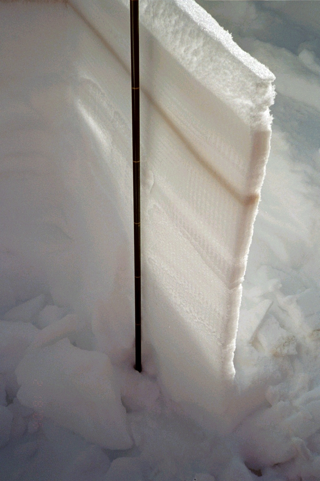 Snow column with dust layer